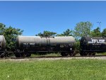 TCLX 17646